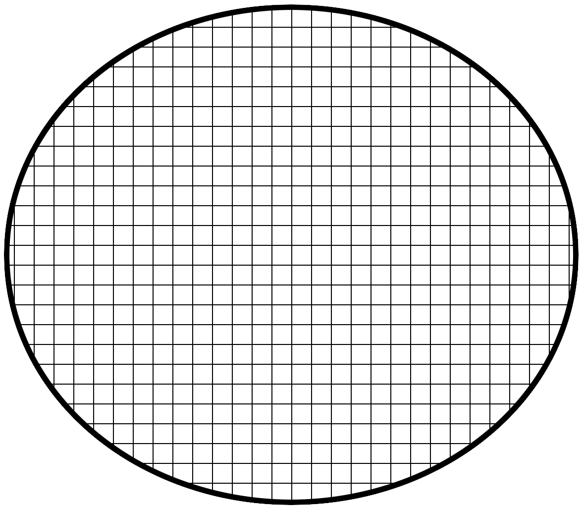 Confocal microscopy size scale